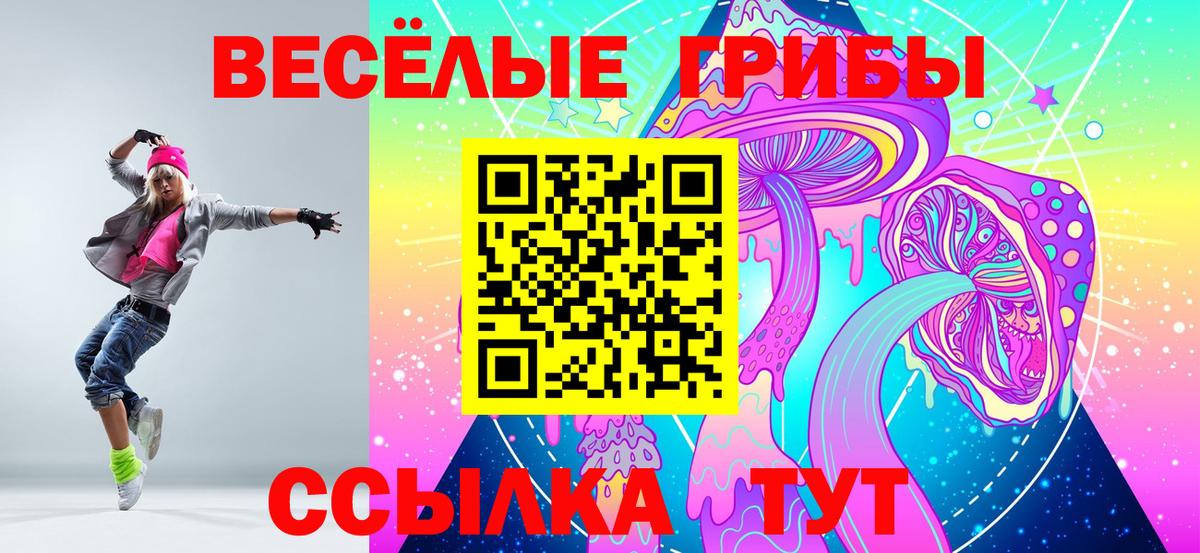 Мурино  Псилоцибиновые грибы мухоморы  Вход с VPN 